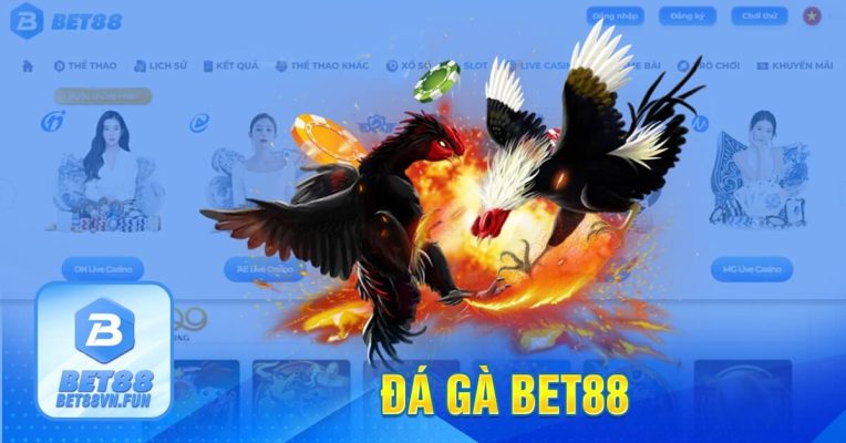 Đá gà Bet88-min