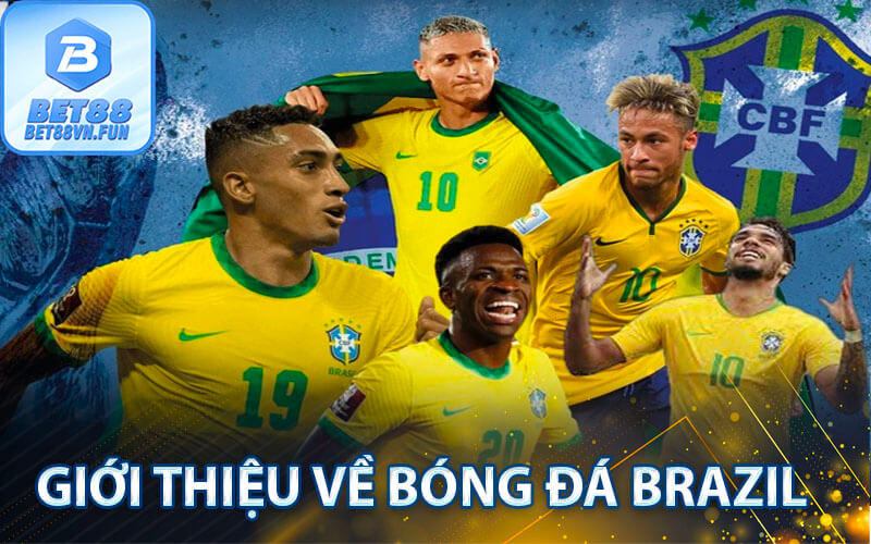 Giới thiệu về Bóng đá Brazil