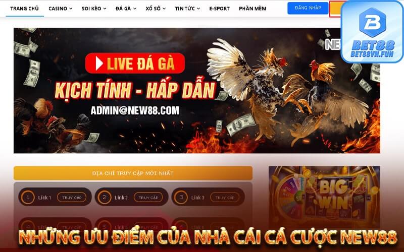 Những ưu điểm của nhà cái cá cược New88